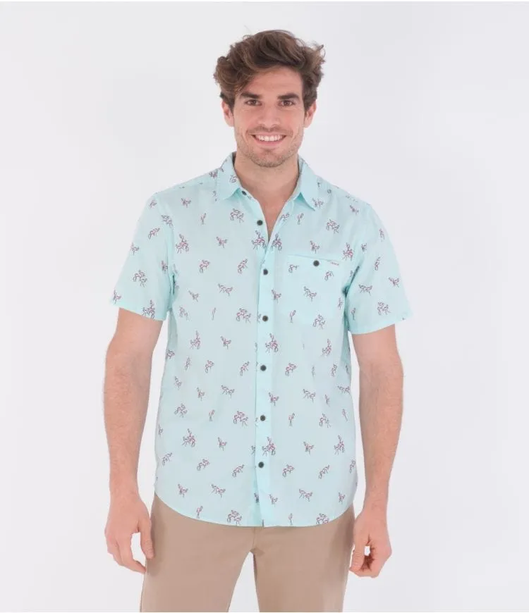 ORG WINDANSEA SS - TEAL TINTED